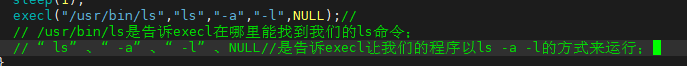 Linux程序替换方式