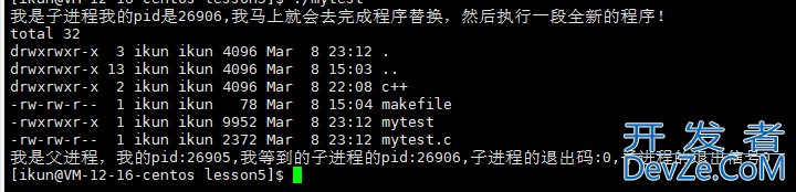 Linux程序替换方式