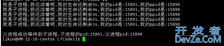 Linux下的进程控制解读