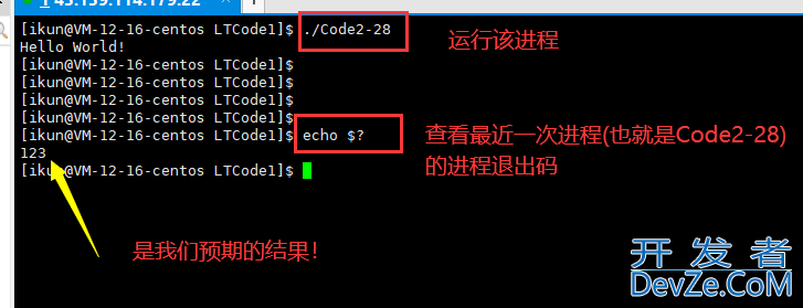 Linux下的进程控制解读