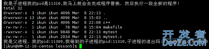 Linux程序替换方式