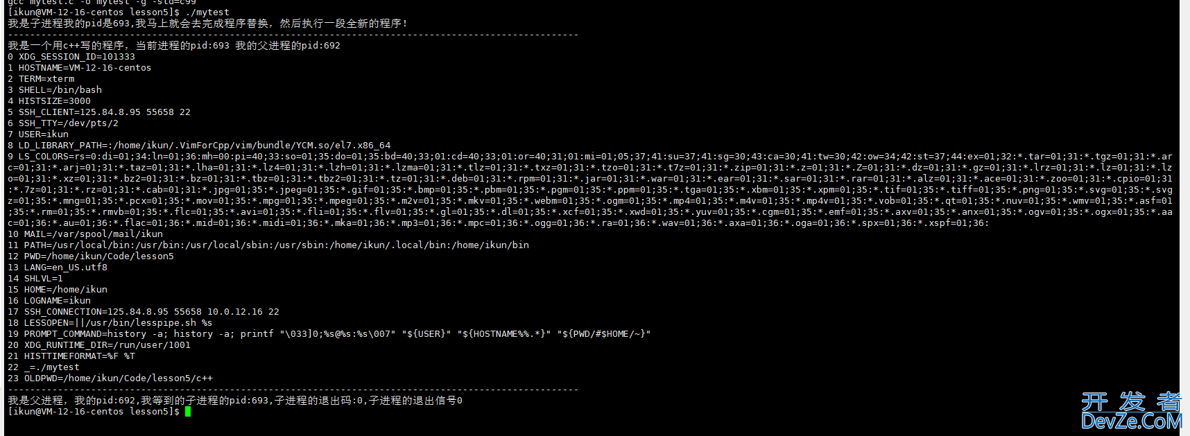 Linux程序替换方式