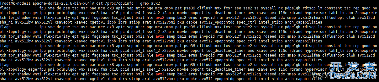 linux下Doris单点部署实践