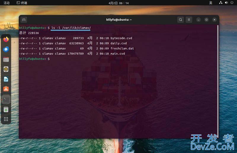 Ubuntu系统如何安装配置和使用ClamAV杀毒软件? ClamAV安装及使用指南