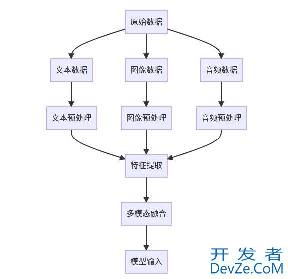 Python使用vllm处理多模态数据的预处理技巧