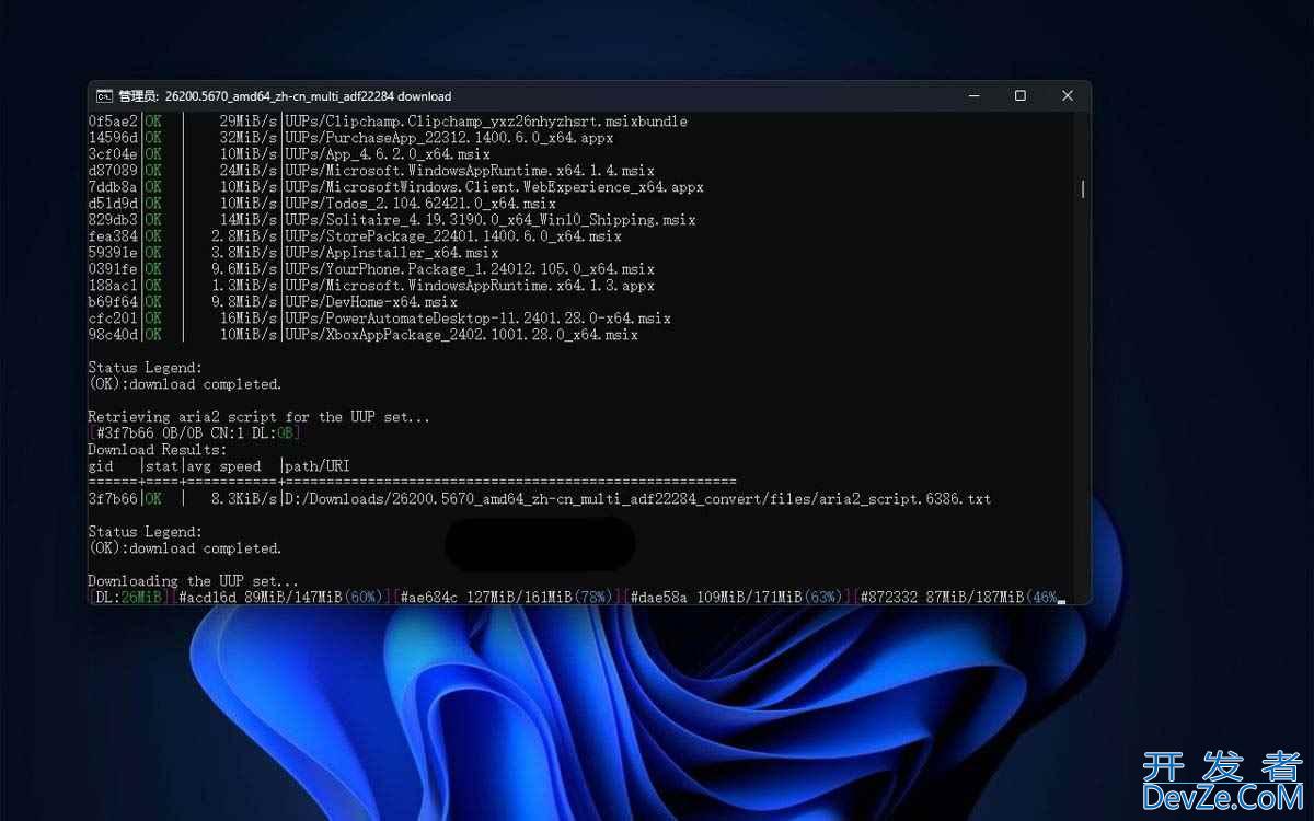 Win11 25H2 ISO镜像怎么下载并制作启动U盘?