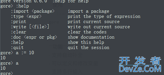 Go语言中的实时交互式编程环境方式