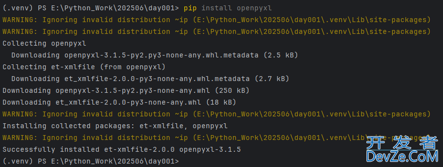 Python处理CSV文件与Excel文件的技巧分享