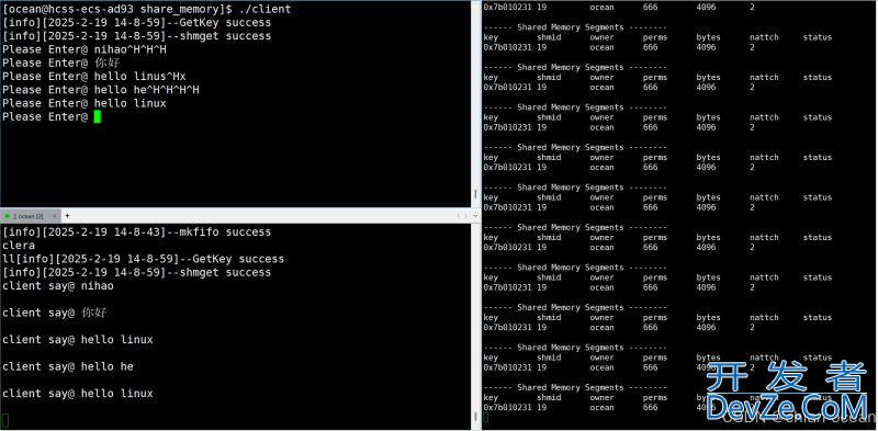 Linux使用System V实现内存共享的最佳实践