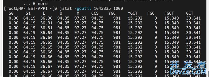 java内存泄漏排查过程及解决