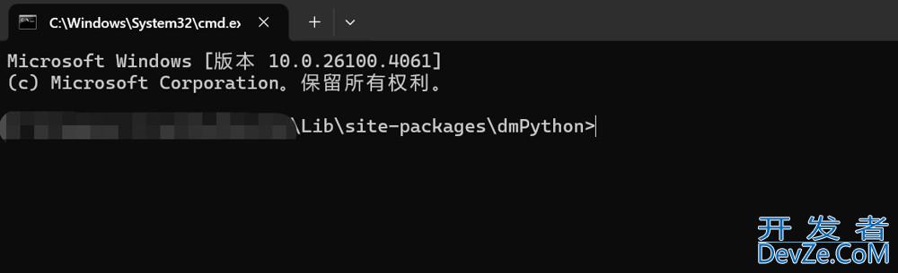 windows环境中python连接到达梦库及相关报错解决办法
