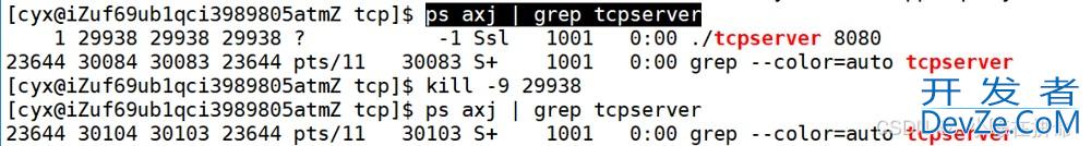 Linux之TCP和守护进程详解