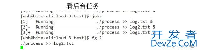 Linux之TCP和守护进程详解
