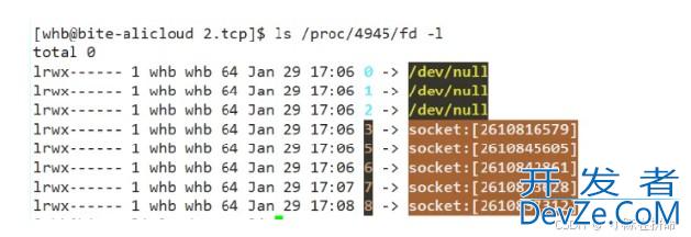 Linux之TCP和守护进程详解
