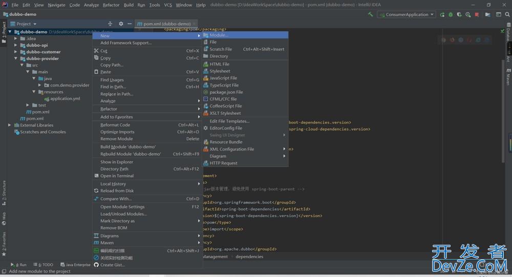 Springboot整合dubbo搭建微服务的实现示例