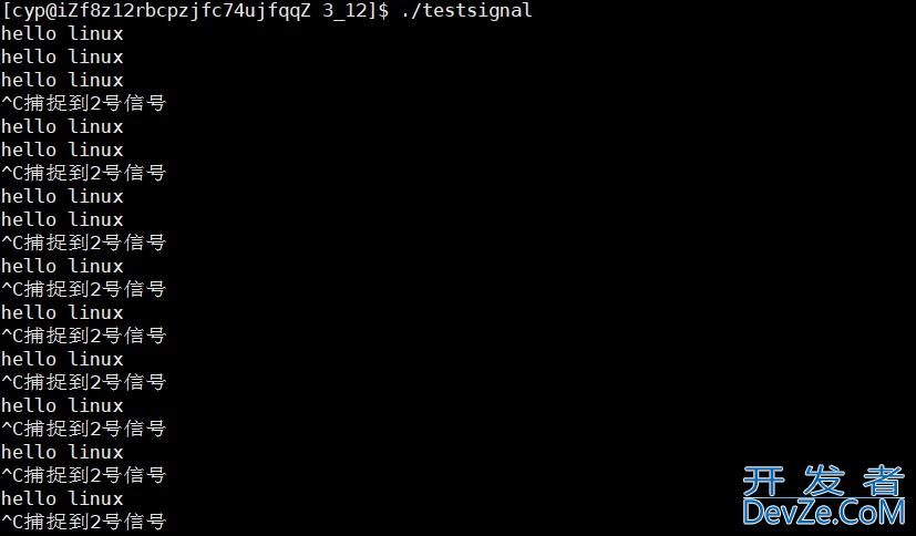 Linux进程信号的捕捉&&信号补充内容方式