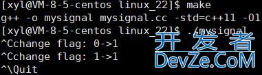 Linux进程信号的捕捉&&信号补充内容方式