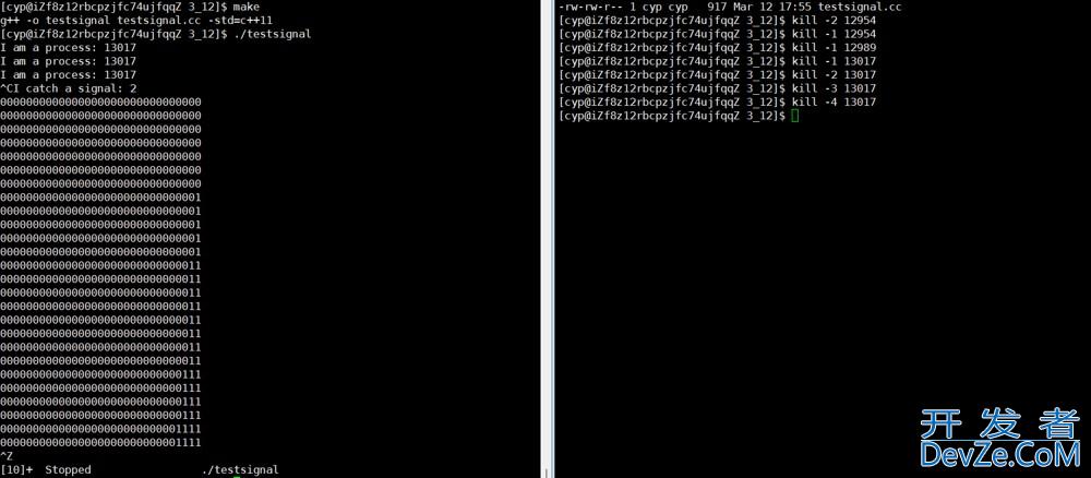 Linux进程信号的捕捉&&信号补充内容方式