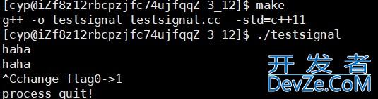 Linux进程信号的捕捉&&信号补充内容方式