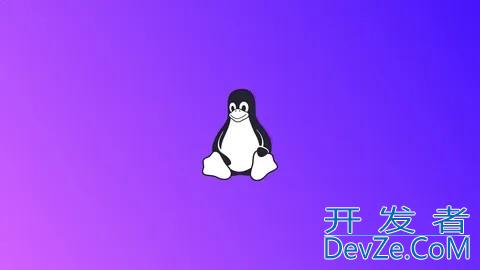 Linux查询服务器 IP 地址的命令详解