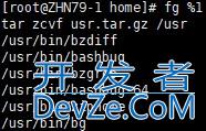 Linux系统管理与进程任务管理方式
