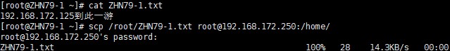 Linux系统管理与进程任务管理方式