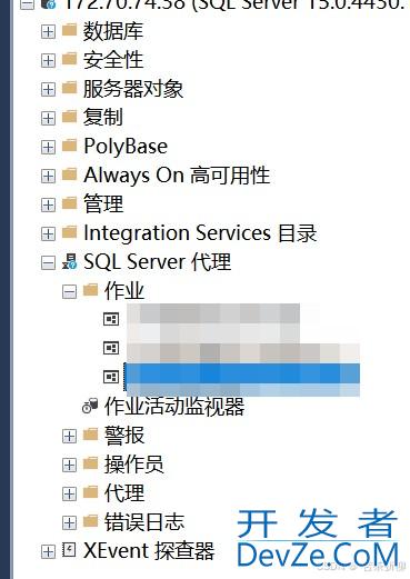 SQL Server 查看备份计划的实现步骤