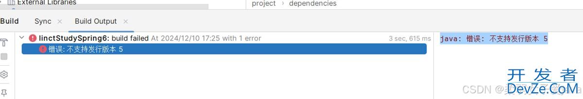 四步教你完美解决IDEA运行maven项目时报错：java: 错误: 不支持发行版本 5