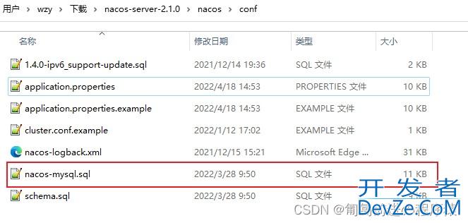 Nacos Server部署配置全过程
