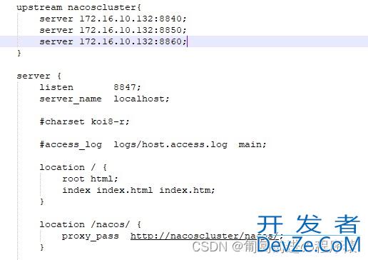 Nacos Server部署配置全过程