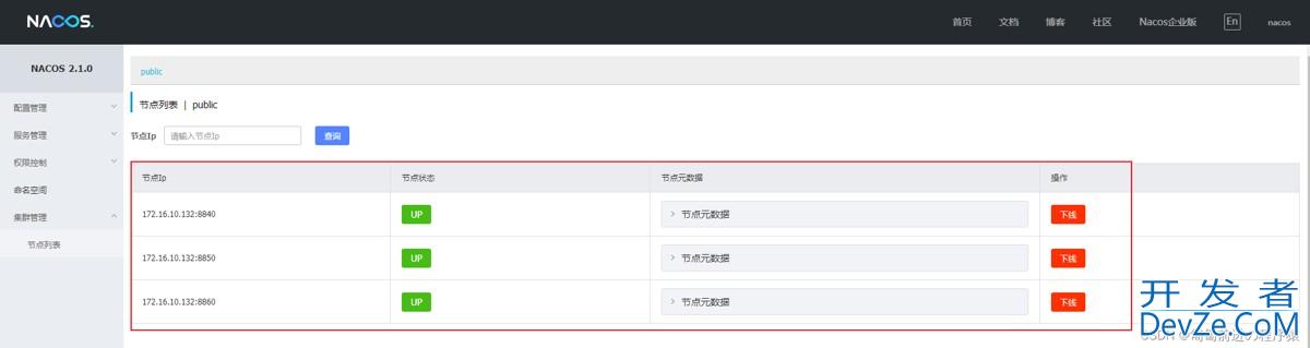 Nacos Server部署配置全过程