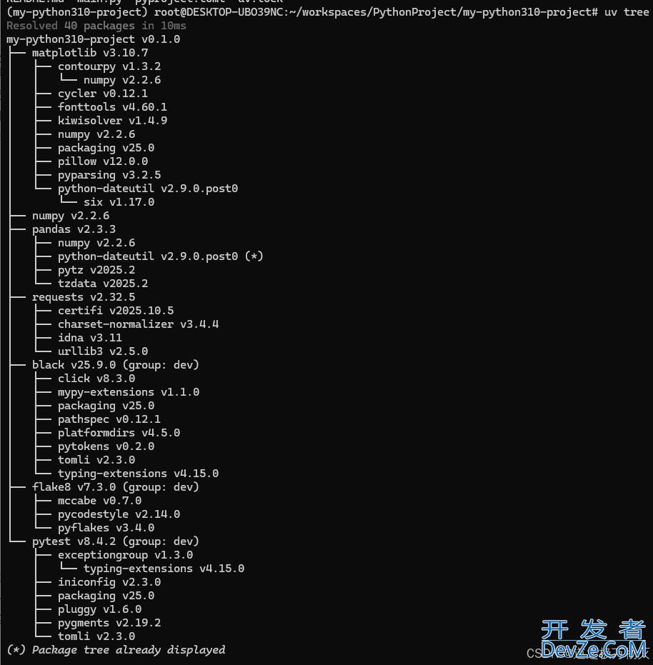 Python通过uv进行虚拟环境管理的完整指南 Python通过uv进行虚拟环境管理的完整指南