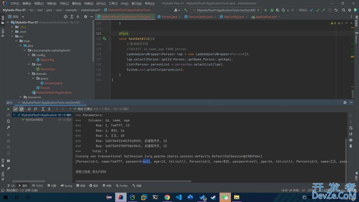 Mybatis-Plus查询投影与查询条件设置过程